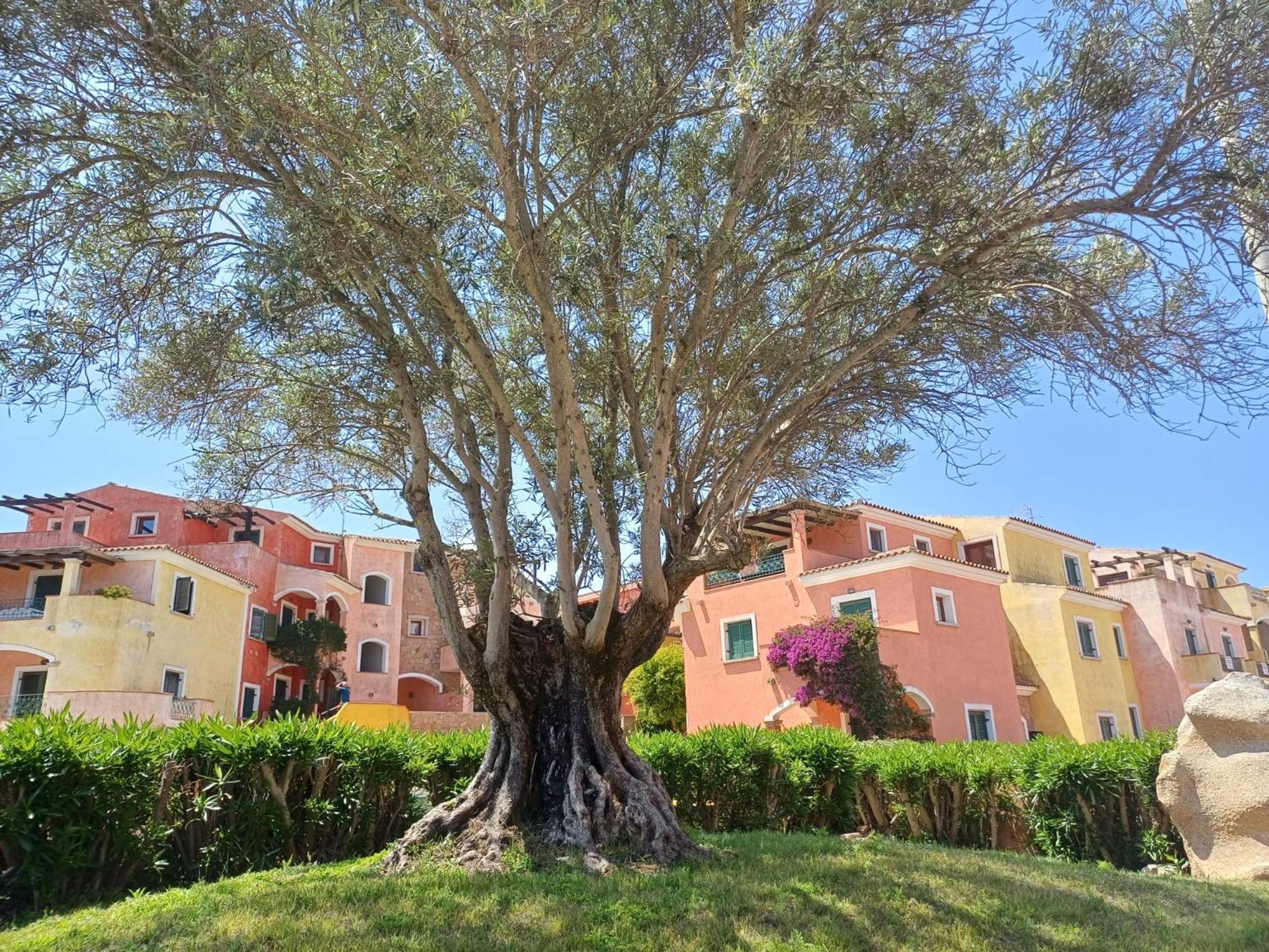 Appartamento Casa Ginevra Santa Teresa di Gallura Esterno foto
