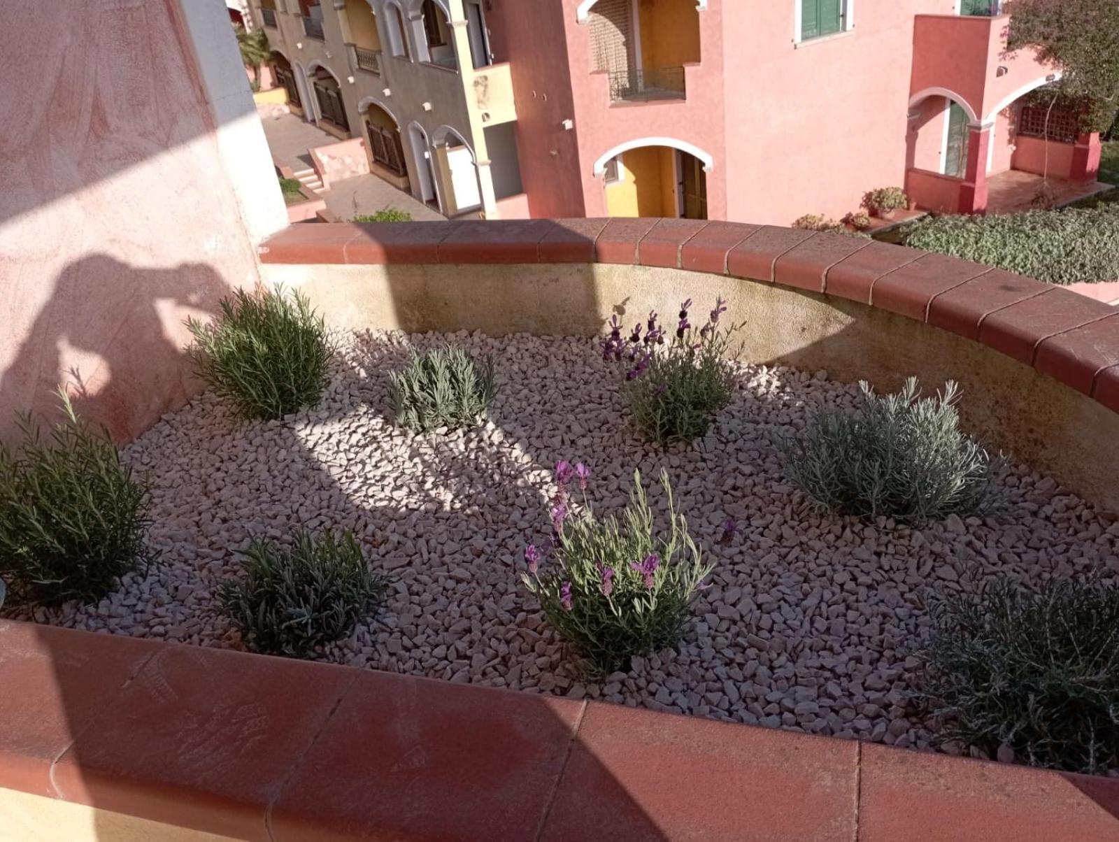 Appartamento Casa Ginevra Santa Teresa di Gallura Esterno foto